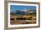 Wilson Peak Yellow Aspens-Larry Malvin-Framed Photographic Print