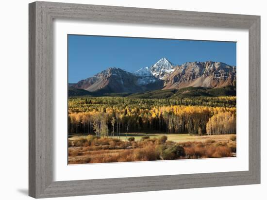 Wilson Peak Yellow Aspens-Larry Malvin-Framed Photographic Print