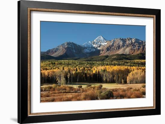 Wilson Peak Yellow Aspens-Larry Malvin-Framed Photographic Print