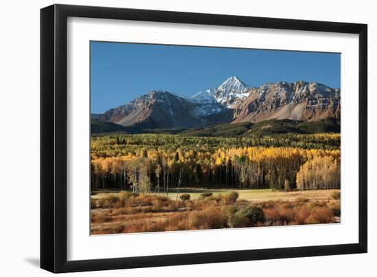 Wilson Peak Yellow Aspens-Larry Malvin-Framed Photographic Print