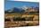 Wilson Peak Yellow Aspens-Larry Malvin-Mounted Photographic Print