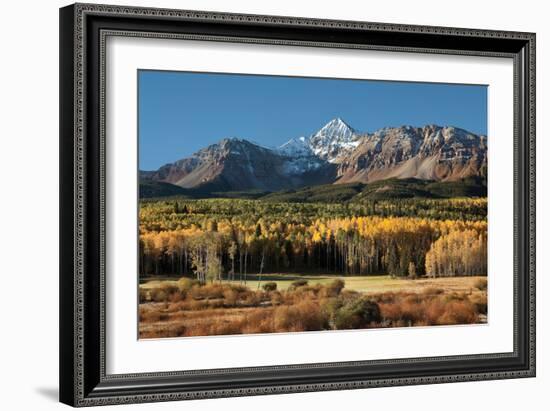 Wilson Peak Yellow Aspens-Larry Malvin-Framed Photographic Print