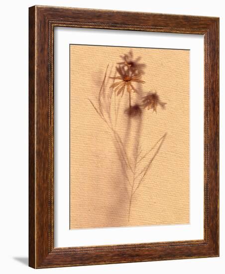 Wilted Flower and Stem Sketch-Robert Cattan-Framed Photographic Print