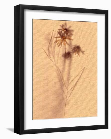 Wilted Flower and Stem Sketch-Robert Cattan-Framed Photographic Print