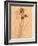 Wilted Flower and Stem Sketch-Robert Cattan-Framed Photographic Print