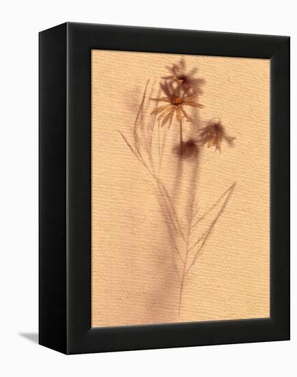 Wilted Flower and Stem Sketch-Robert Cattan-Framed Premier Image Canvas