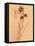 Wilted Flower and Stem Sketch-Robert Cattan-Framed Premier Image Canvas