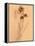 Wilted Flower and Stem Sketch-Robert Cattan-Framed Premier Image Canvas