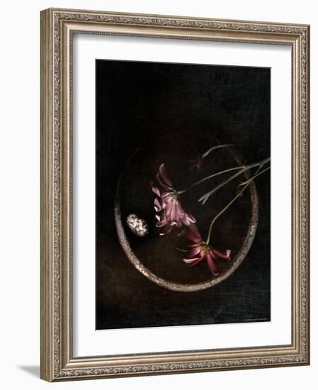 Wilted Purple Flowers in Pot-Robert Cattan-Framed Photographic Print