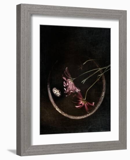 Wilted Purple Flowers in Pot-Robert Cattan-Framed Photographic Print