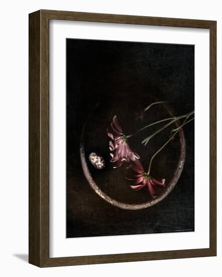 Wilted Purple Flowers in Pot-Robert Cattan-Framed Photographic Print