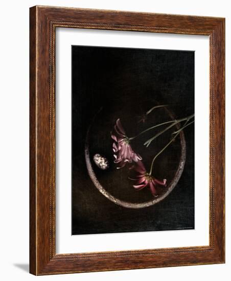 Wilted Purple Flowers in Pot-Robert Cattan-Framed Photographic Print