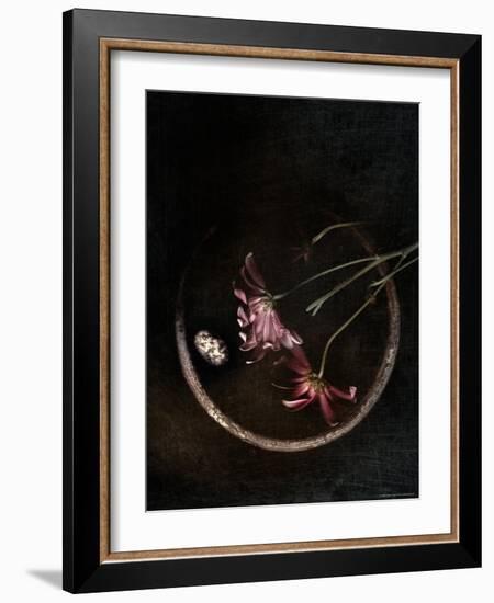 Wilted Purple Flowers in Pot-Robert Cattan-Framed Photographic Print