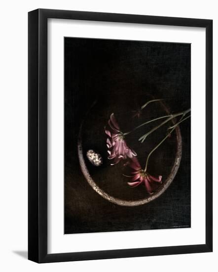 Wilted Purple Flowers in Pot-Robert Cattan-Framed Photographic Print