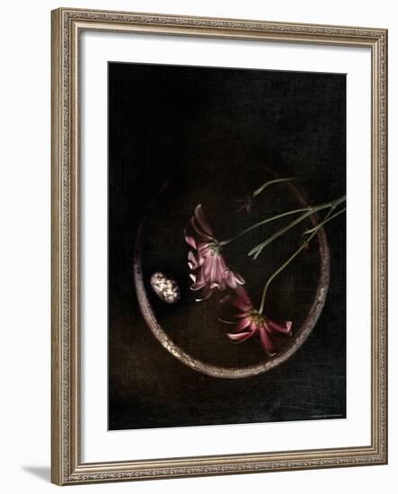 Wilted Purple Flowers in Pot-Robert Cattan-Framed Photographic Print