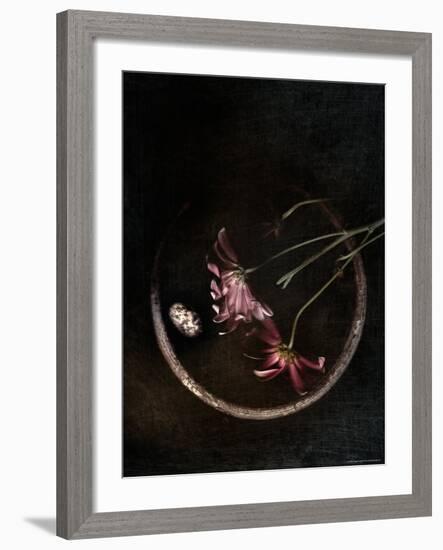 Wilted Purple Flowers in Pot-Robert Cattan-Framed Photographic Print