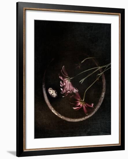 Wilted Purple Flowers in Pot-Robert Cattan-Framed Photographic Print