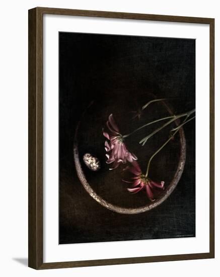 Wilted Purple Flowers in Pot-Robert Cattan-Framed Photographic Print