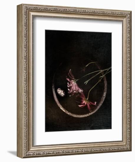 Wilted Purple Flowers in Pot-Robert Cattan-Framed Photographic Print