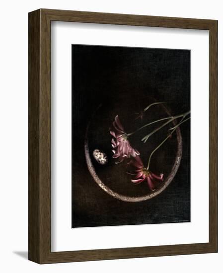 Wilted Purple Flowers in Pot-Robert Cattan-Framed Photographic Print