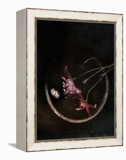 Wilted Purple Flowers in Pot-Robert Cattan-Framed Premier Image Canvas