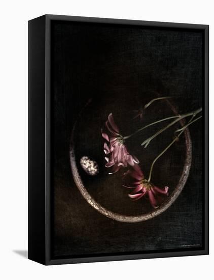 Wilted Purple Flowers in Pot-Robert Cattan-Framed Premier Image Canvas