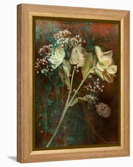 Wilted White Rose and Baby's Breath-Robert Cattan-Framed Premier Image Canvas