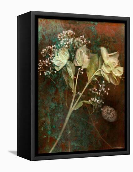 Wilted White Rose and Baby's Breath-Robert Cattan-Framed Premier Image Canvas