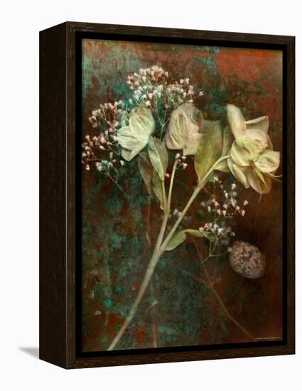 Wilted White Rose and Baby's Breath-Robert Cattan-Framed Premier Image Canvas