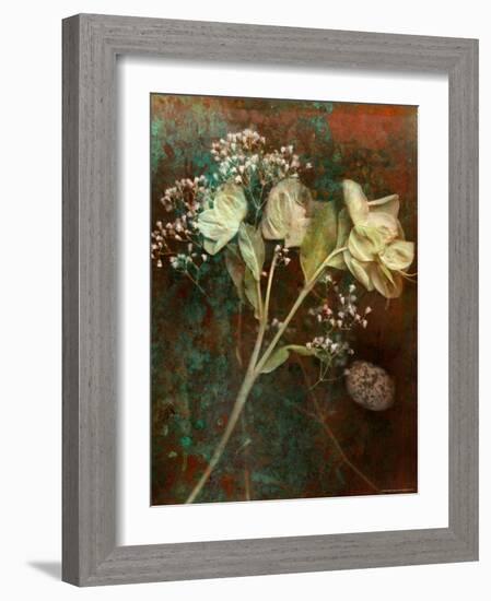 Wilted White Rose and Baby's Breath-Robert Cattan-Framed Photographic Print