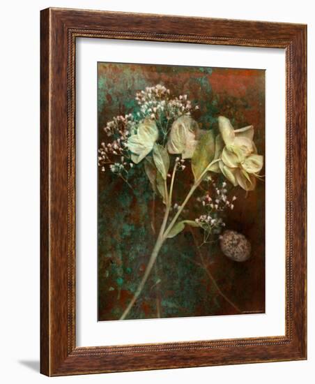 Wilted White Rose and Baby's Breath-Robert Cattan-Framed Photographic Print