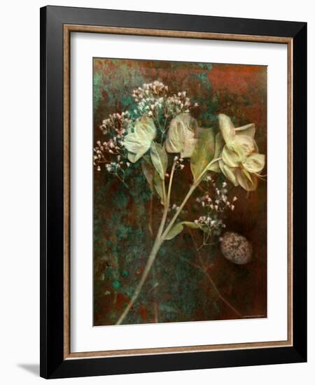 Wilted White Rose and Baby's Breath-Robert Cattan-Framed Photographic Print