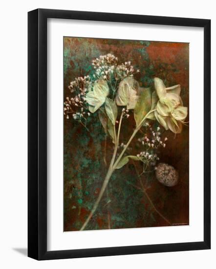 Wilted White Rose and Baby's Breath-Robert Cattan-Framed Photographic Print