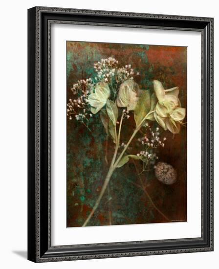 Wilted White Rose and Baby's Breath-Robert Cattan-Framed Photographic Print