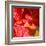 Wilting Hibiscus-Ruth Palmer-Framed Art Print