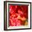 Wilting Hibiscus-Ruth Palmer-Framed Art Print