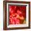 Wilting Hibiscus-Ruth Palmer-Framed Art Print