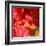 Wilting Hibiscus-Ruth Palmer-Framed Art Print