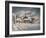 Wilton, N.H.-Stanton Manolakas-Framed Giclee Print