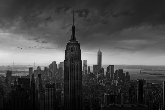 Photographic Print, , large