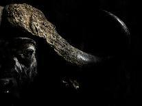 Cape Buffalo (Syncerus Caffer) in Darkness, Masai Mara, Kenya-Wim van den Heever-Photographic Print