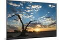 Photographic Print
