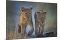 Premium Photographic Print