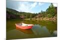 Photographic Print