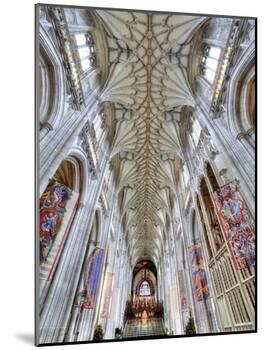 Winchester Cathedral, Winchester, Hampshire, UK-Ivan Vdovin-Mounted Photographic Print