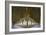 Winchester College Cloister Arcades-Paul Rapson-Framed Photographic Print