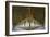 Winchester College Cloister Arcades-Paul Rapson-Framed Photographic Print