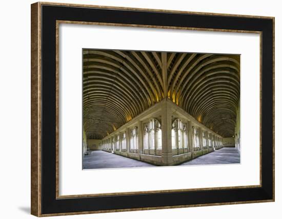 Winchester College Cloister Arcades-Paul Rapson-Framed Photographic Print