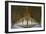 Winchester College Cloister Arcades-Paul Rapson-Framed Photographic Print