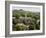 Winchester College from Cathedral Tower, Hampshire, England, United Kingdom, Europe-Richardson Rolf-Framed Photographic Print